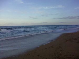 Florida Beaches - Paid Blogging, Pay Per Post