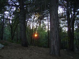 Pikes Peak Arboretum, Lake Arrowhead, CA - Ghost Writers, elance